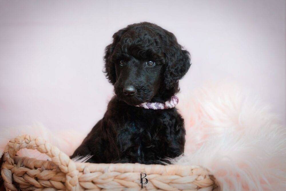 WhatsApp Bild 2023-11-15 um 19.39.44_607ba63a